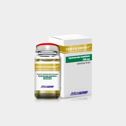 TESTO-DEPOT (M)