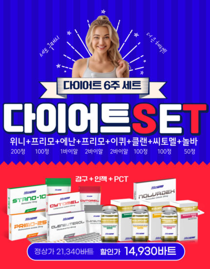 다이어트 세트